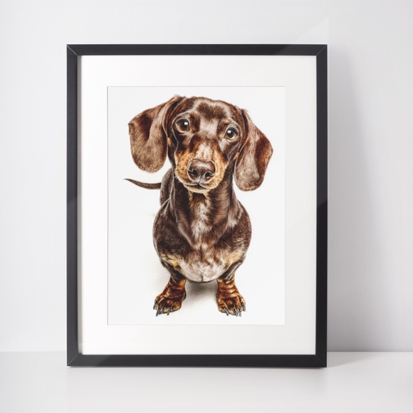 Watercolor Dachshund Dog Portrait Art Print – Unframed Fine Art Poster - Picture 3 of 5
